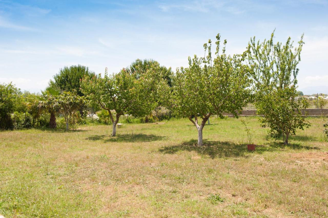 Olives Estate Apartments Grande Превеза Экстерьер фото