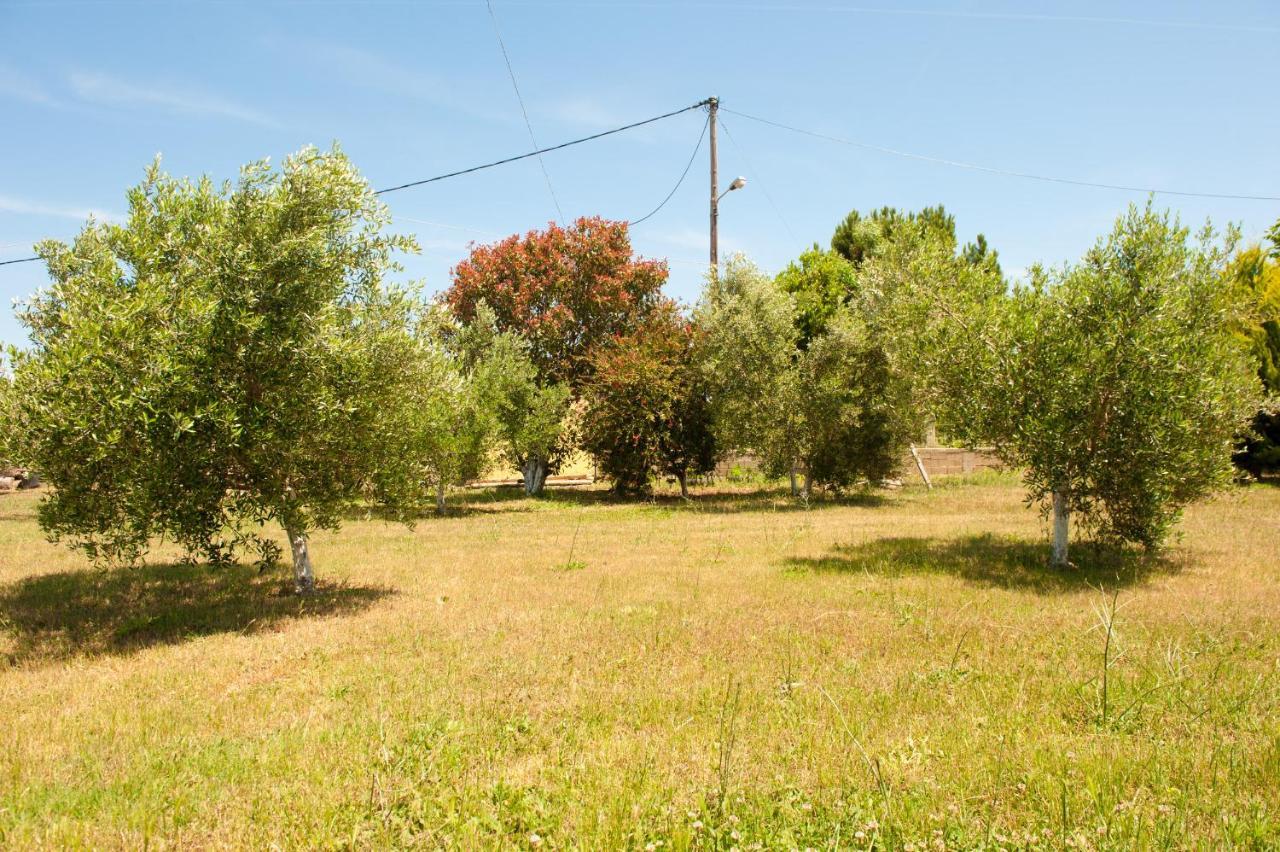 Olives Estate Apartments Grande Превеза Экстерьер фото