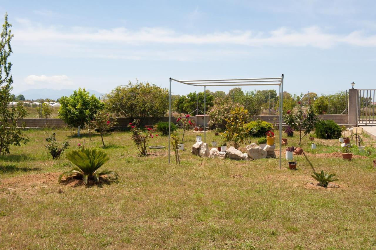 Olives Estate Apartments Grande Превеза Экстерьер фото