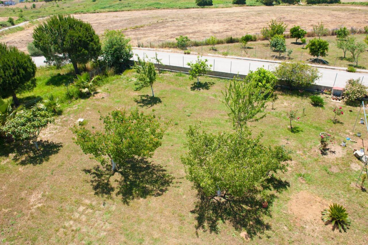 Olives Estate Apartments Grande Превеза Экстерьер фото