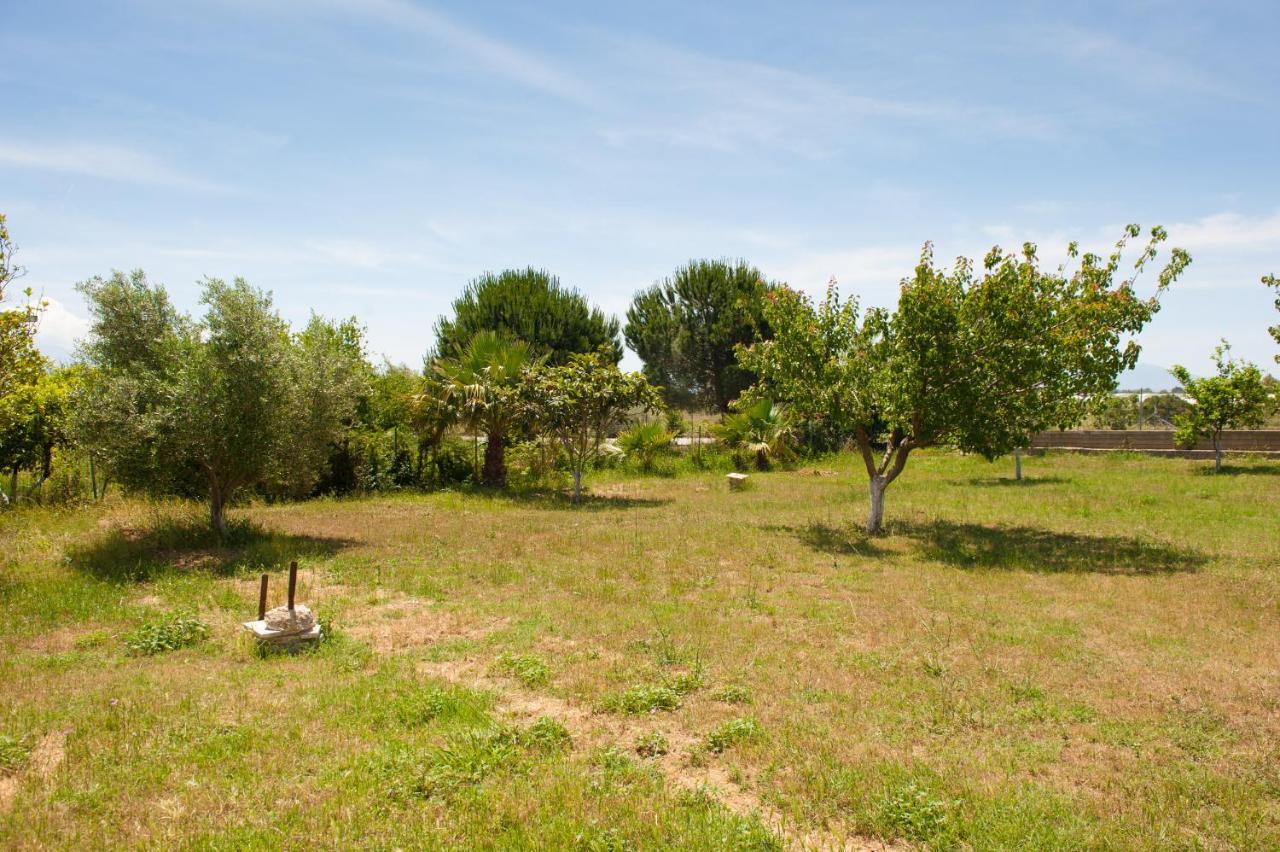 Olives Estate Apartments Grande Превеза Экстерьер фото
